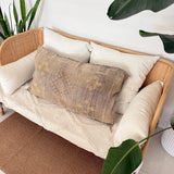 Dusty Grey Lounger Cactus Silk Cushion