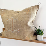Sandy Brown With White and Tan Cactus Silk Cushion