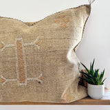 Sandy Brown With White and Tan Cactus Silk Cushion